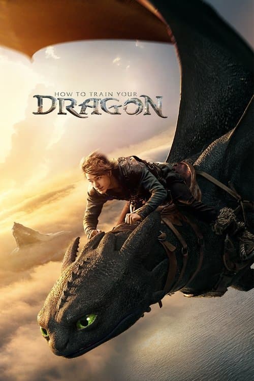 How to Train Your Dragon poster